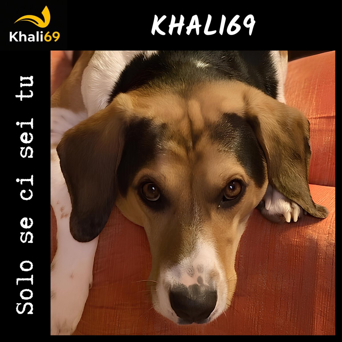 Copertina di Solo se ci sei tu, Khali69